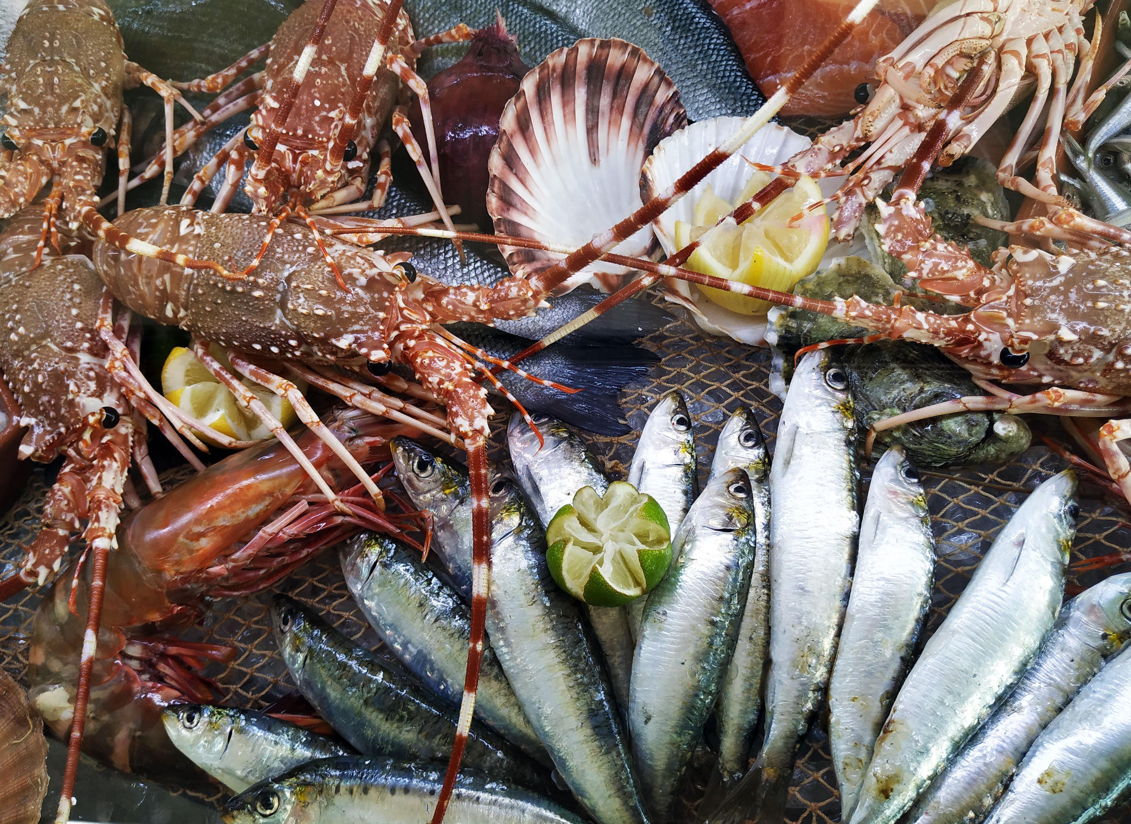 คราวน์ พลาซา วีลาโมวรา Hotel วิลาโมรา ภายนอก รูปภาพ Seafood